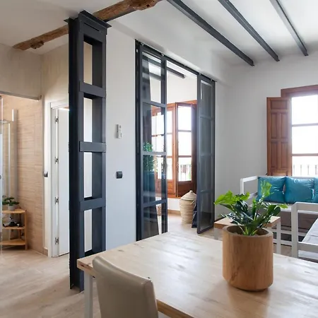 Appartement Sueno De Elvira *